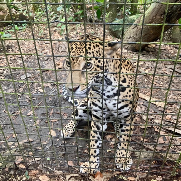 Meet your Posher, Ashley - Picture 15 of 16